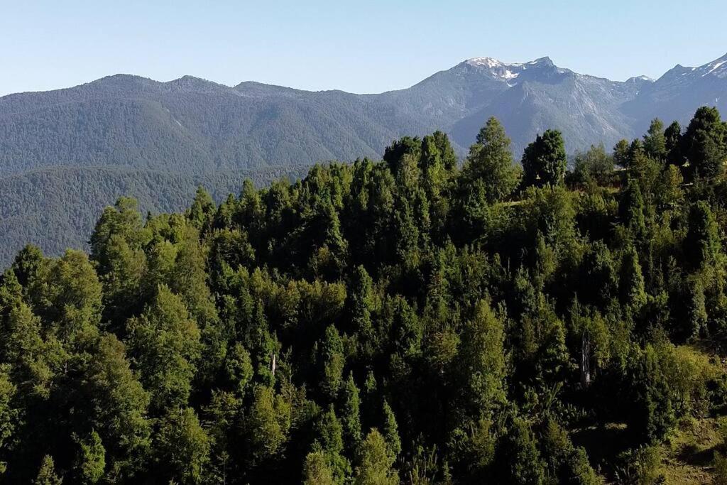 Esp�ritus del Ca�i. Tiny home y destiler�a