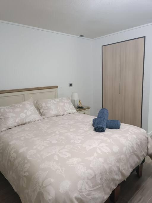 Acogedor estudio Isla Teja 207