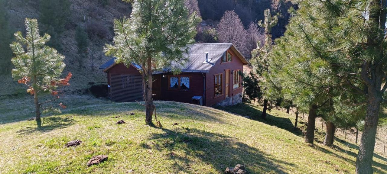 Tierras Altas de la Patagonia- Caba�a mediana con acceso al lago