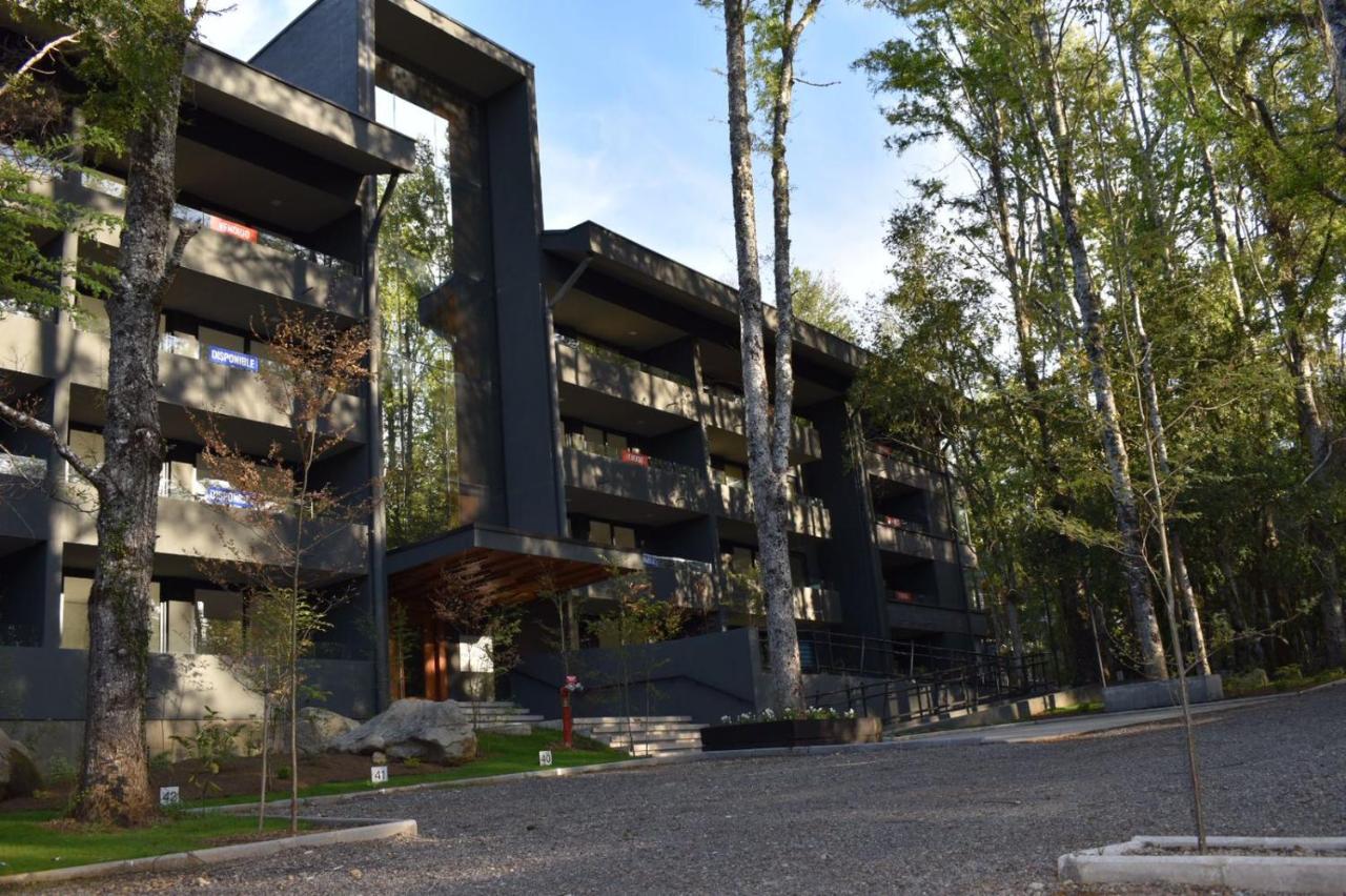 Dpto Puc�n, camino al volc�n