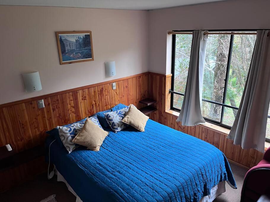 Departamento Camino al volc�n Puc�n