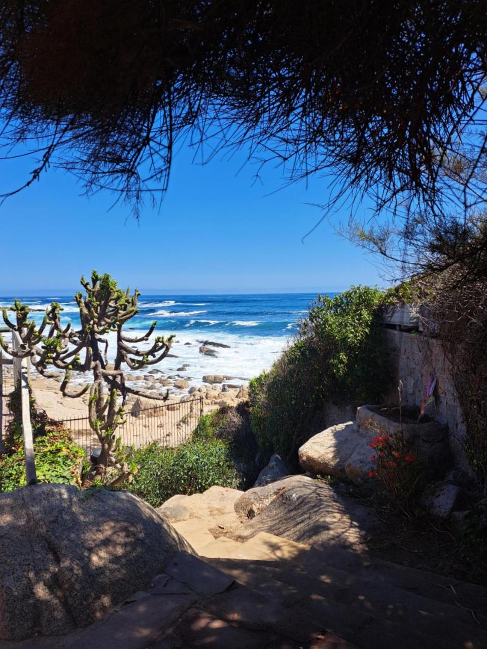 Caba�a frente al mar