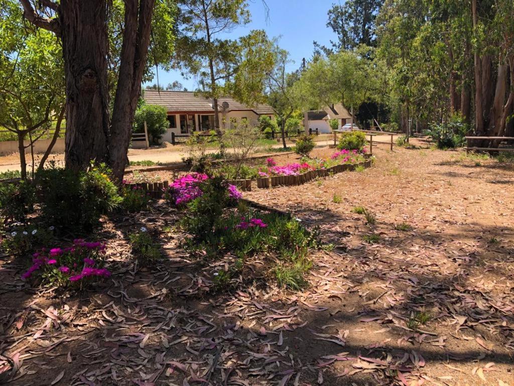 Espectacular casa sector centro, Algarrobo