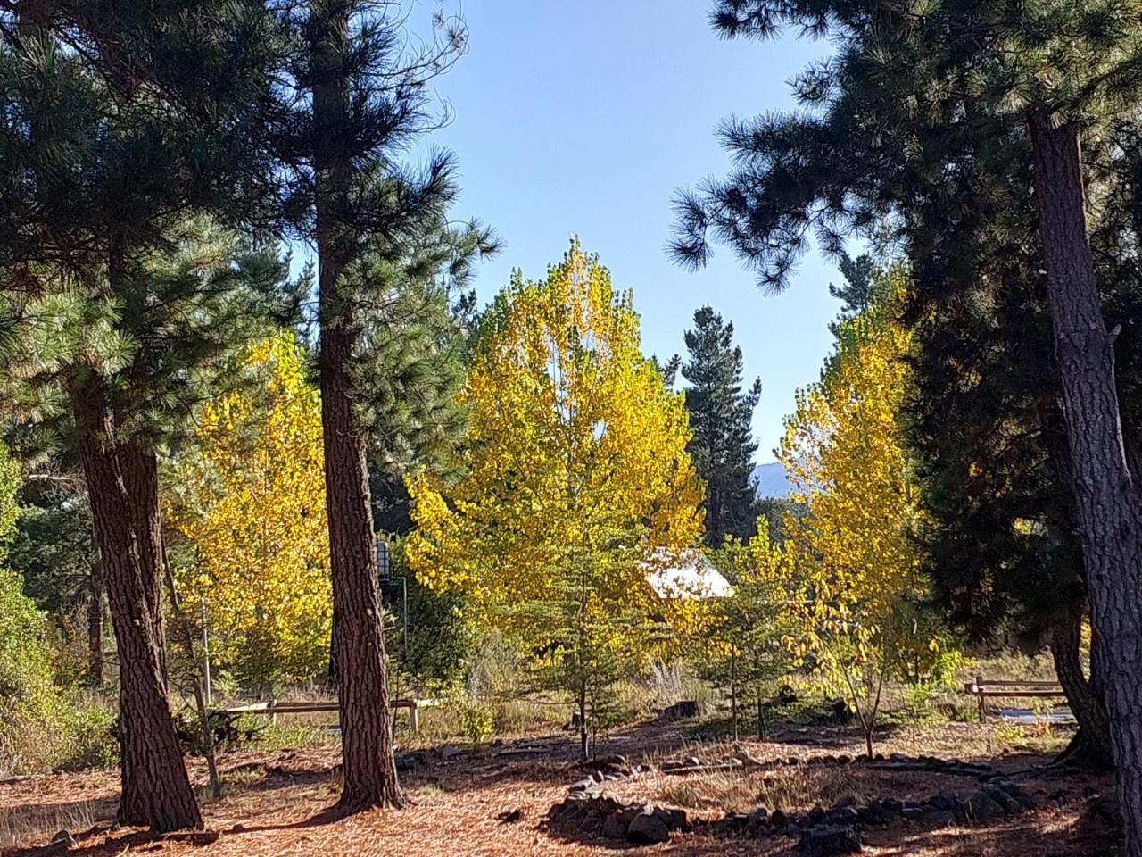 Casa Conguillio en Melipeuco
