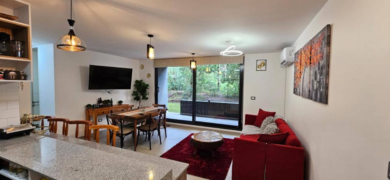 Departamento Puc�n Andino