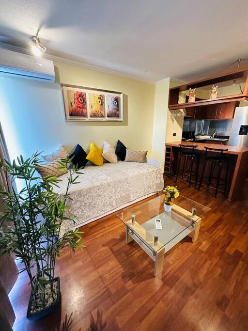 Tranquilo y acogedor M Montt 14