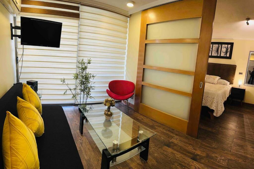 Lindo y c�modo dpto Providencia 6