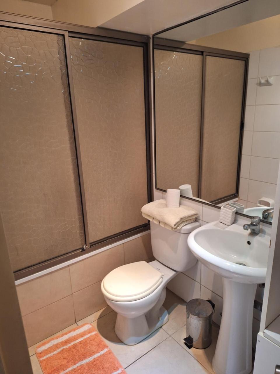 Depto. C�ntrico acogedor