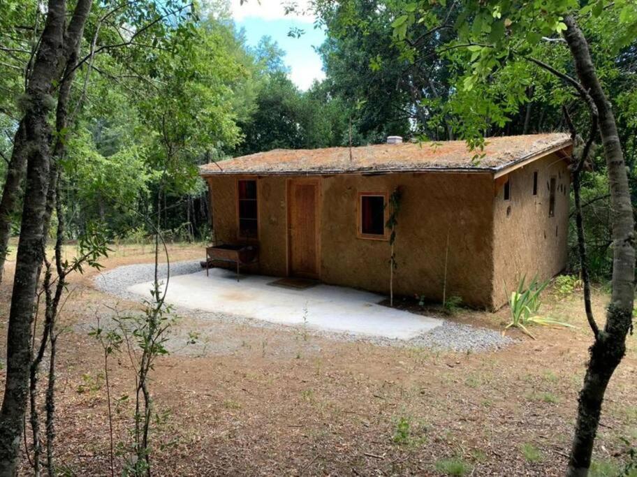 Caba�a entre Boldos