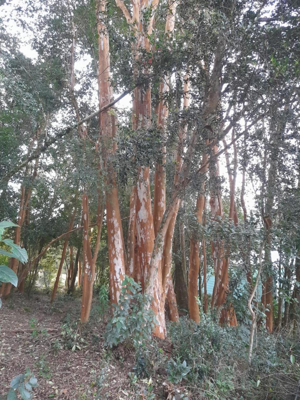 Casa Carretera Austral