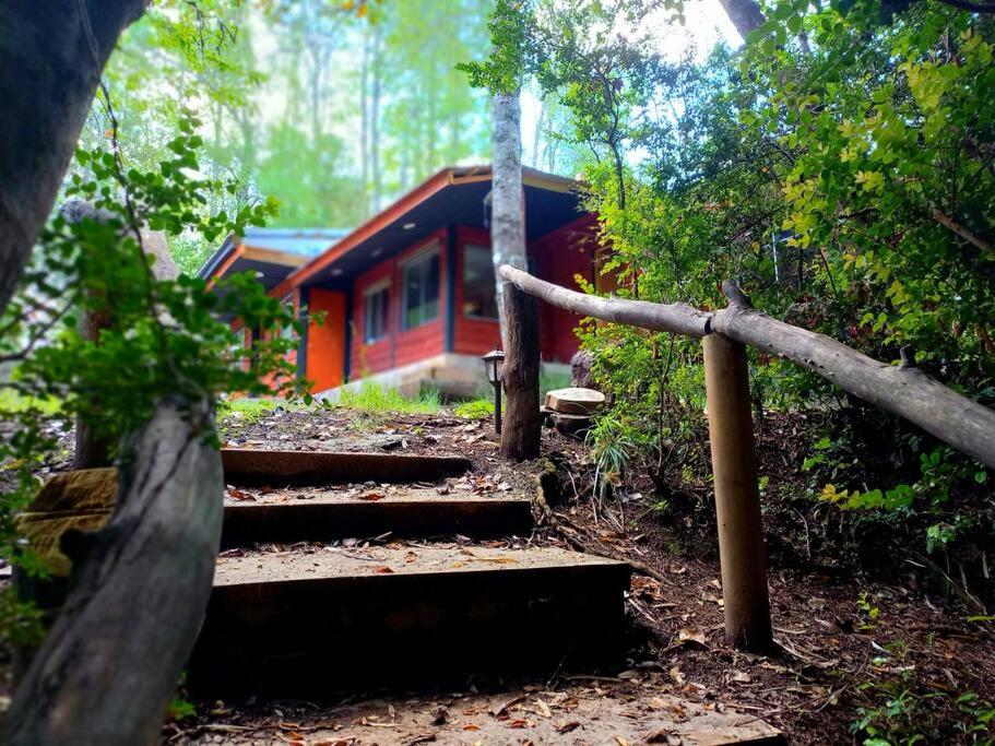 Caba�ita cerca Ojos del Caburgua