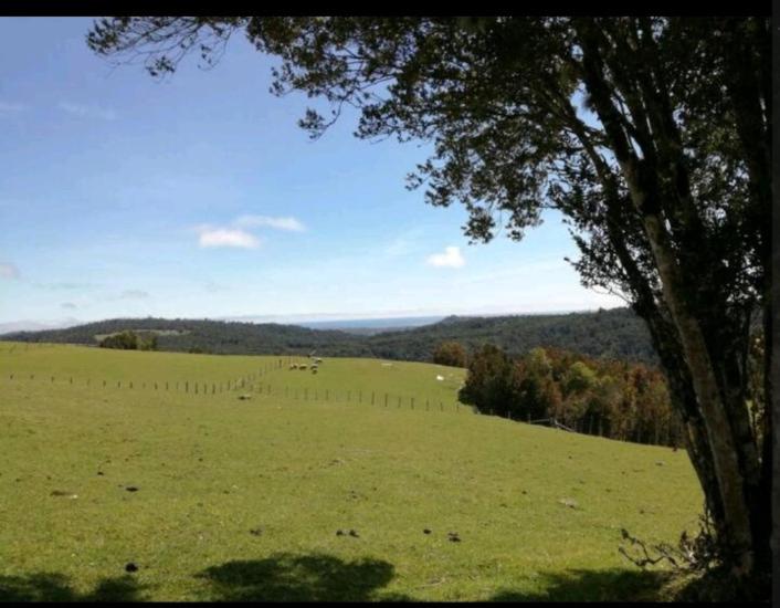 Domo Vientos del Sur