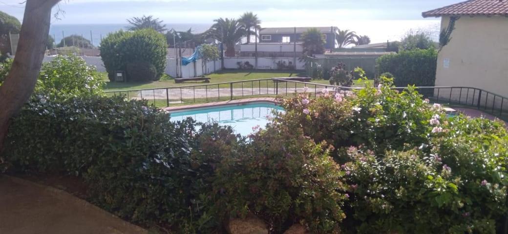 Depto Condominio Mar Azul