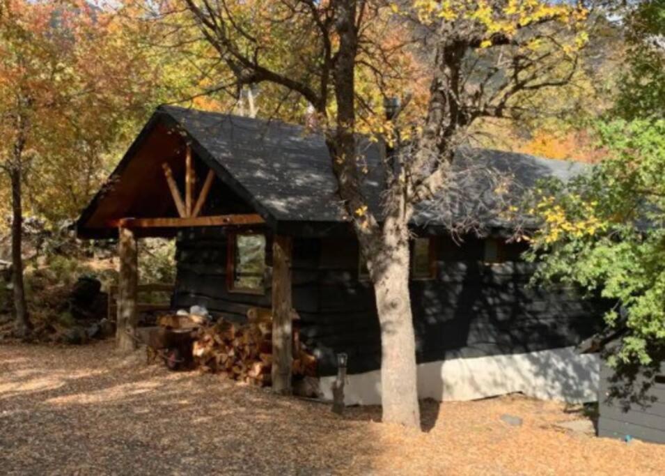 Tiny Cabin en Las Trancas