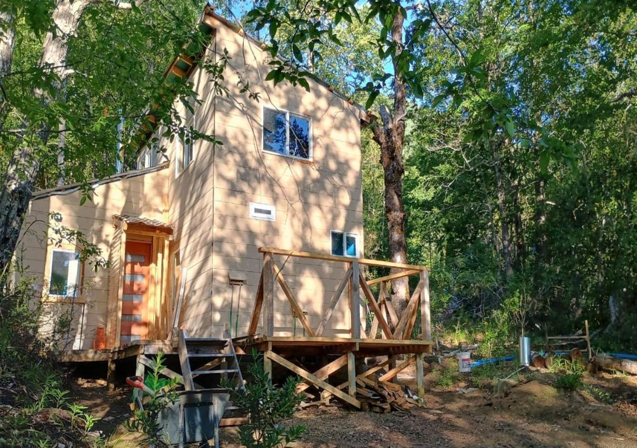 La madriguera de Yuyito en Conguillio