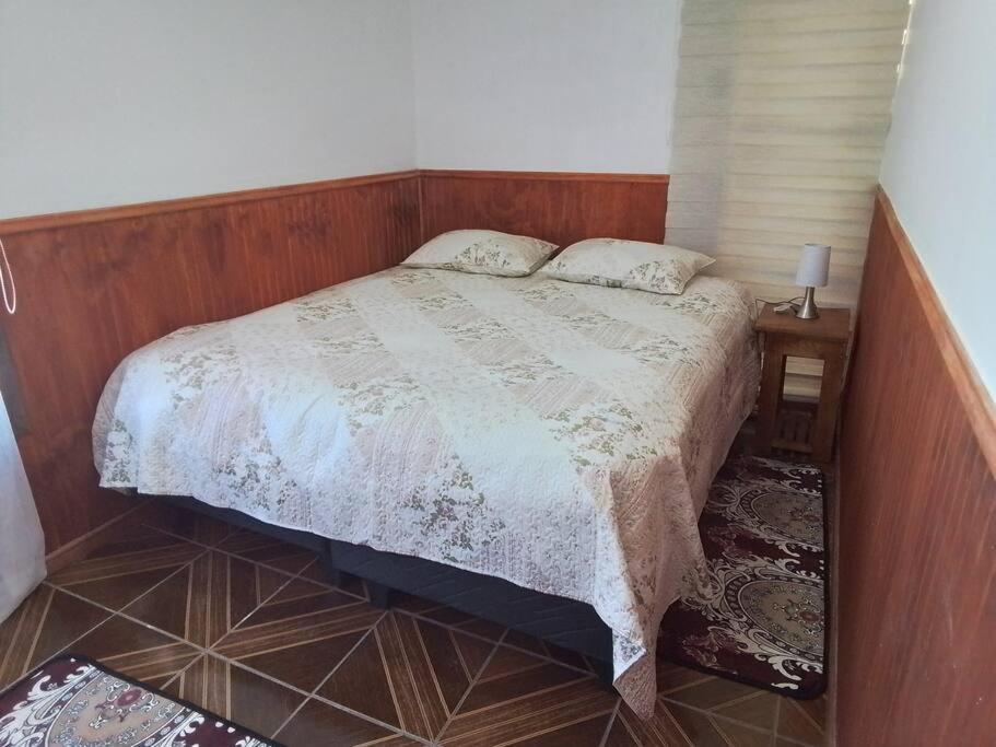 Departamento Interior 1 Villarrica C�ntrico