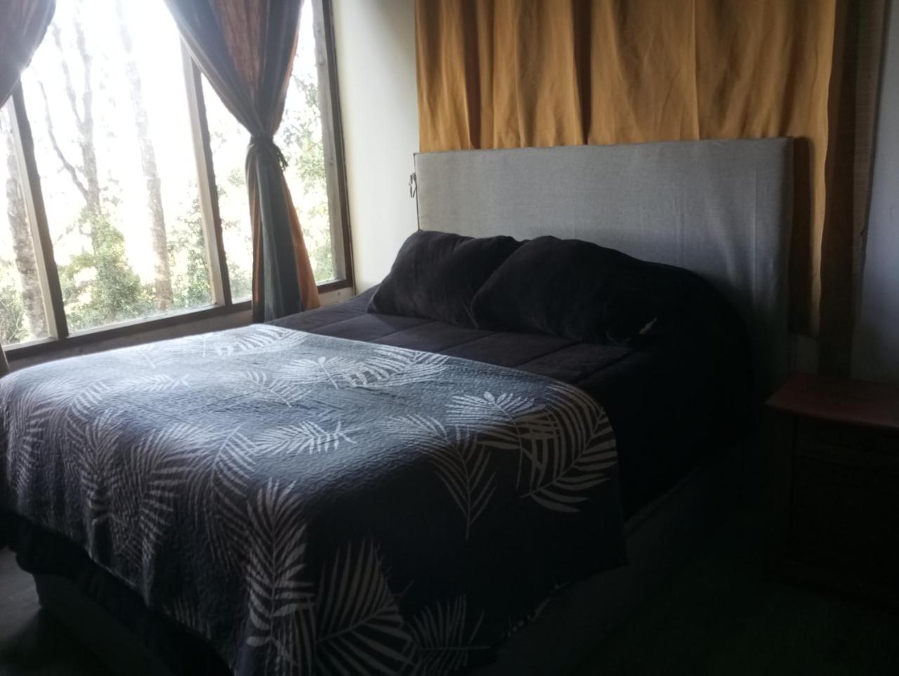 Casa en bosque central