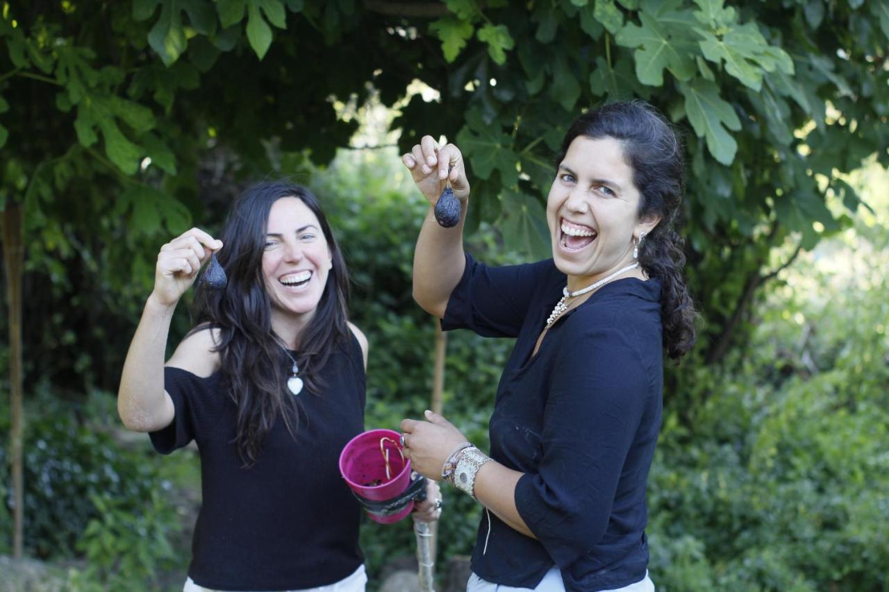 Alojamiento en Casona Bellavista, una experiencia Patrimonial-Natural