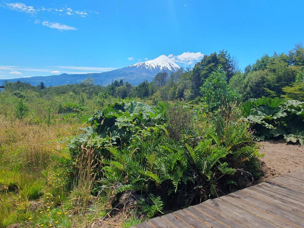 CABA�A PIEL CANELA