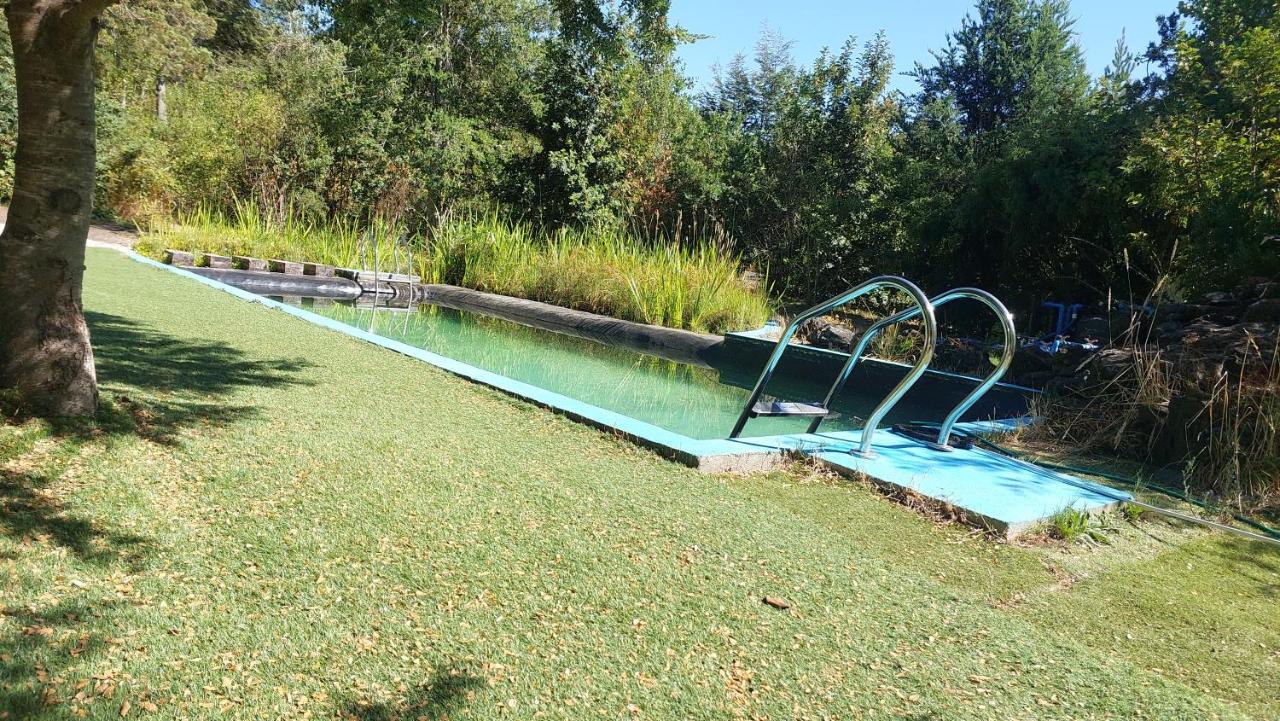 Pewma Lodge Conguillio