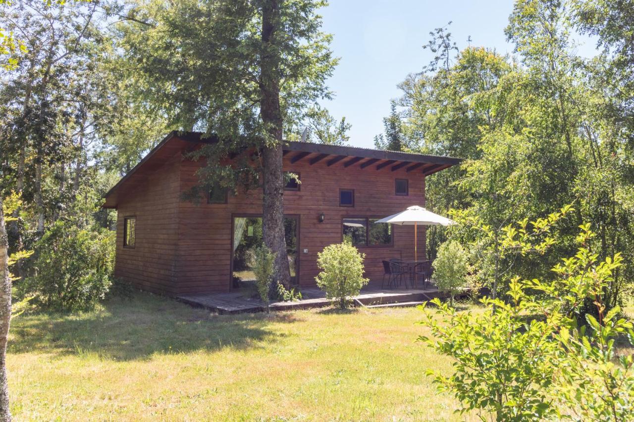 Caba�as Pucon Location