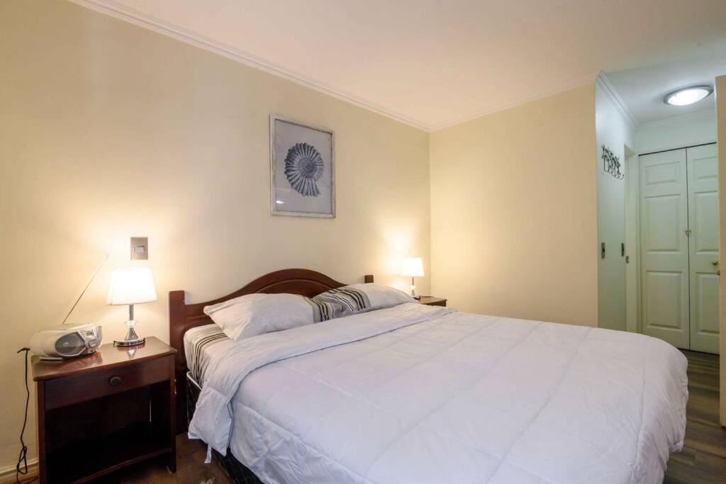 Encantador dpto en Providencia.