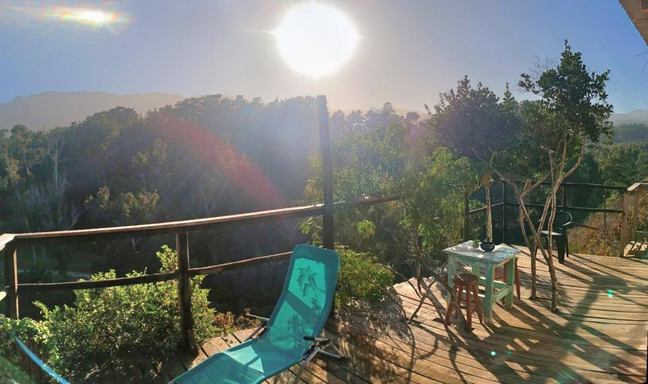 Caba�a con Vista al mar Playa grande Quintay