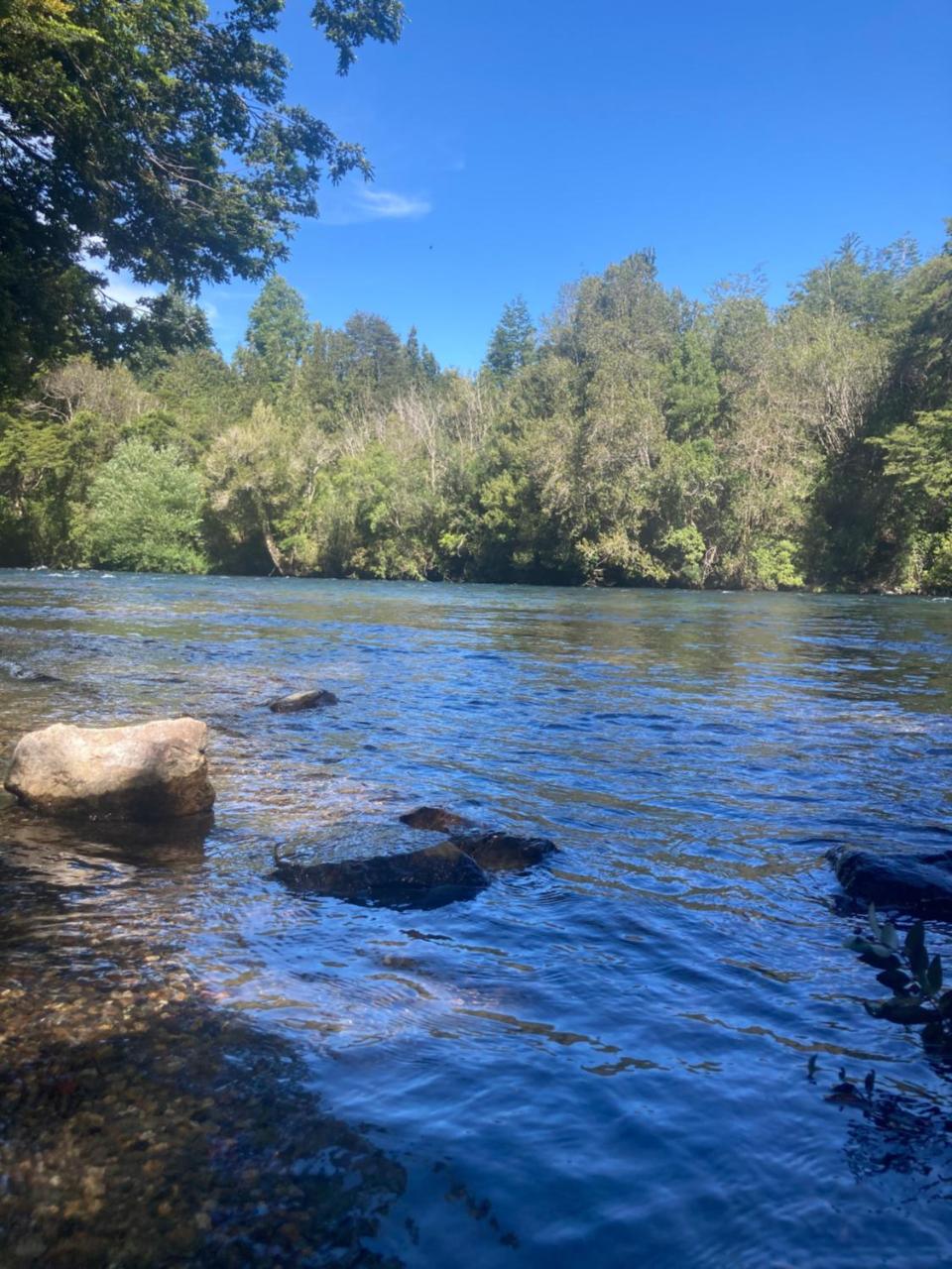 Alpina Liucura caba�a