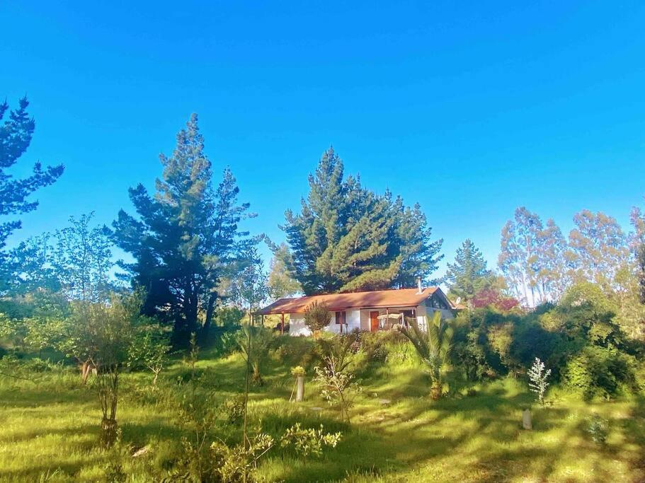 Parcela, 6 mil M2, Entorno Tranquilo y Naturaleza