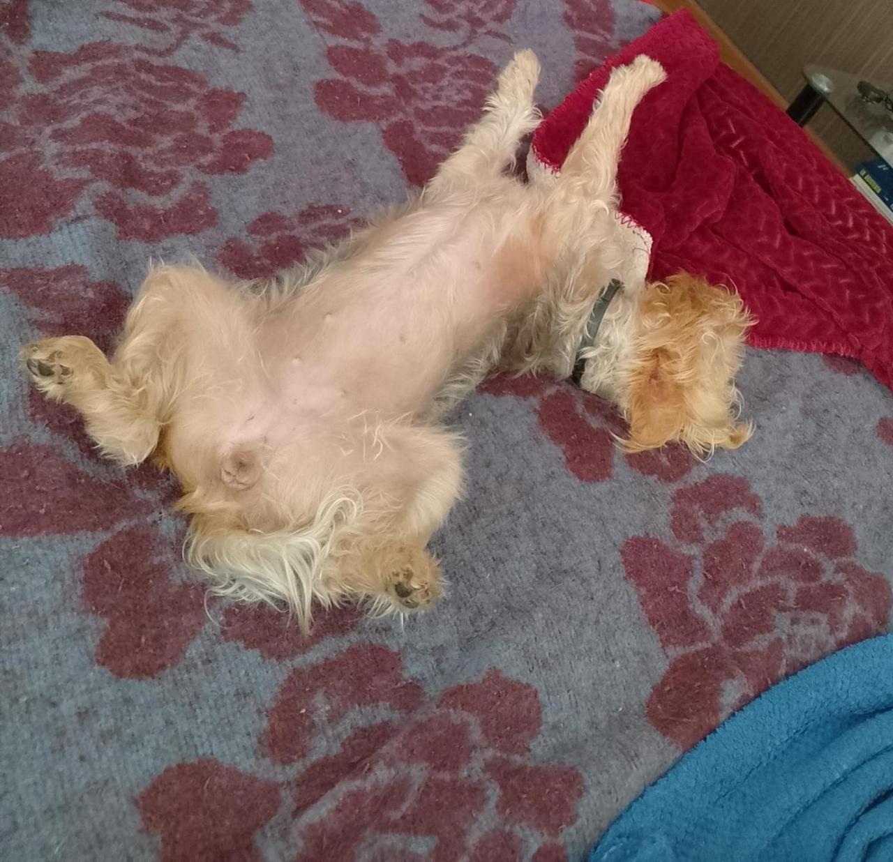 Costa Herradura Depto