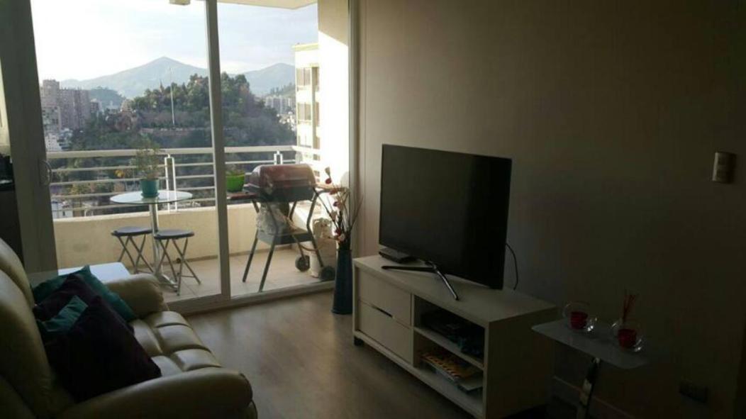 Great apartment in Santiago de Chile
