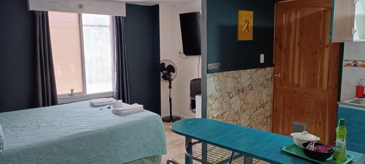 departamento acogedor en vi�a del mar