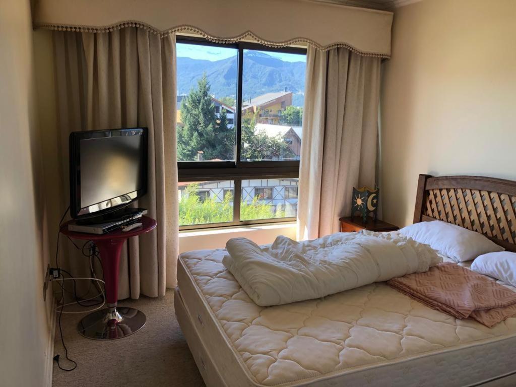 Departamento Puc�n Centro