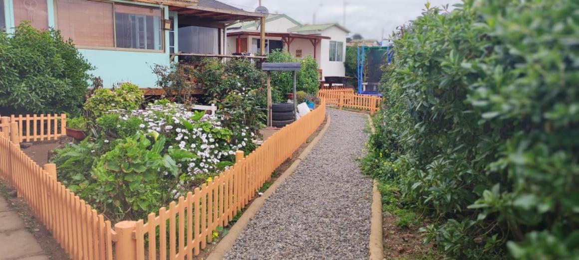 Caba�a Casona Hanga Roa