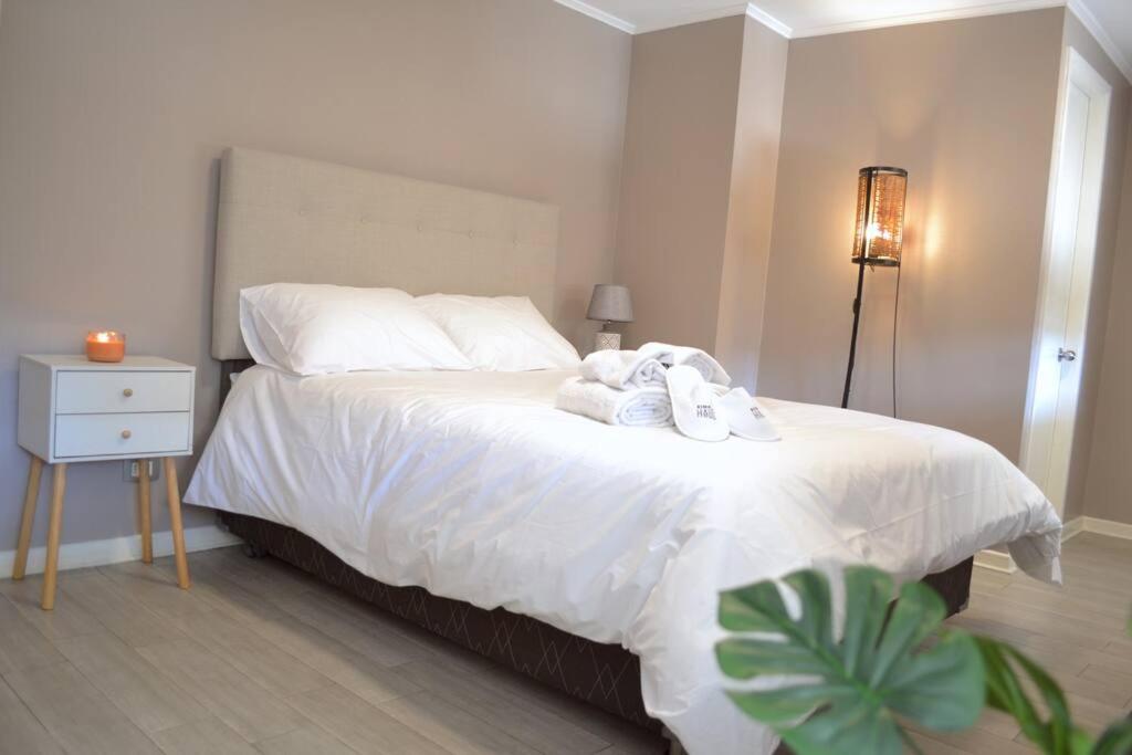 Hermoso y acogedor apartamento en Santiago