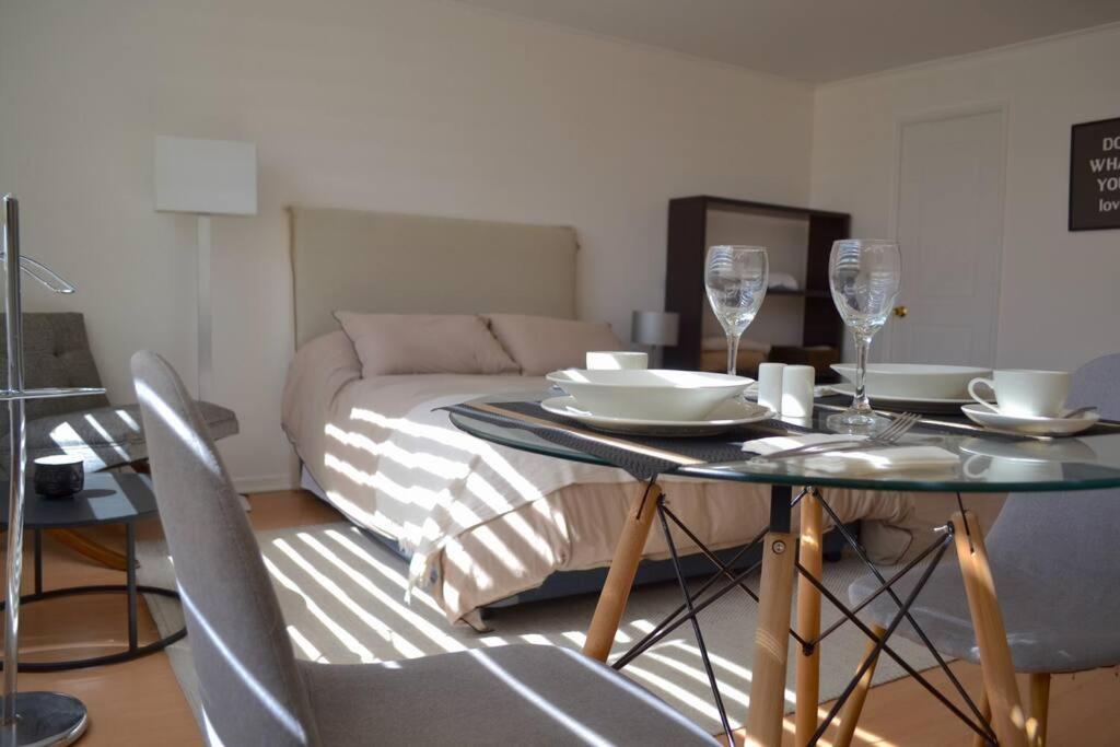 Hermoso y acogedor depto. en Santiago Centro