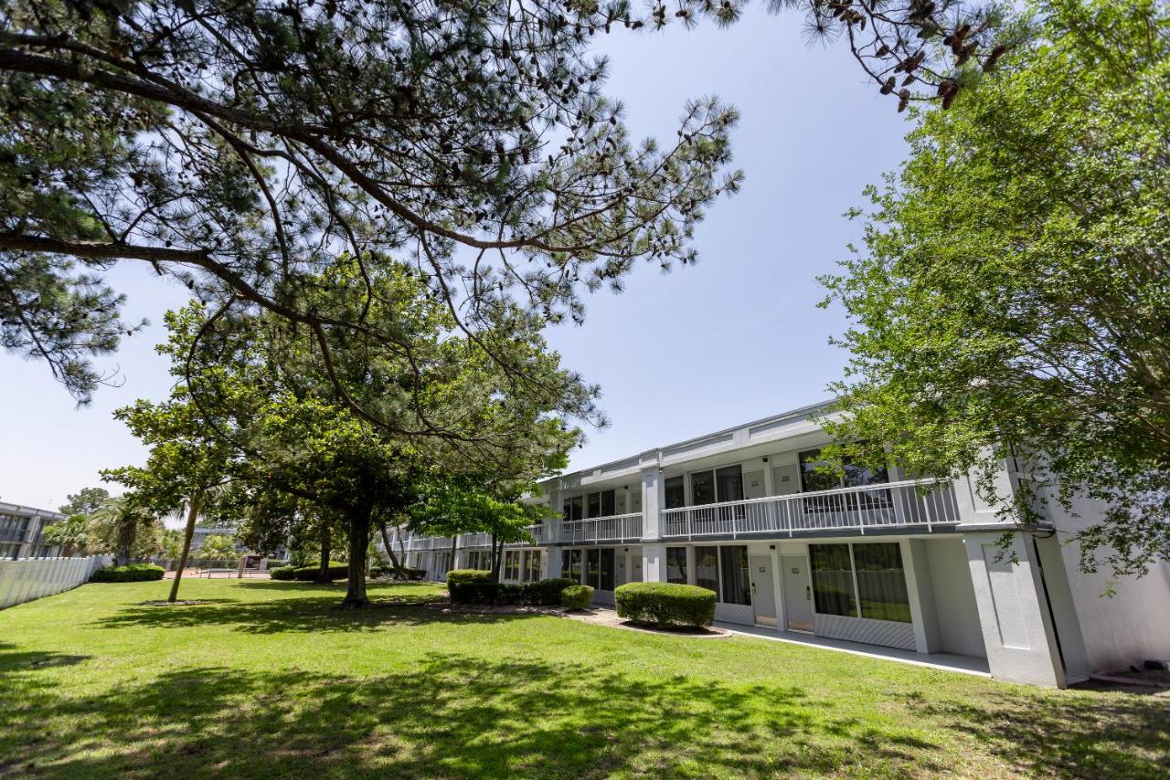 Image: Oneway Savannah