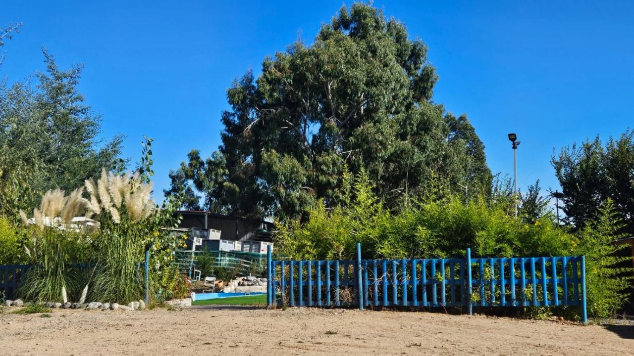 Las palmeras de Colb�n