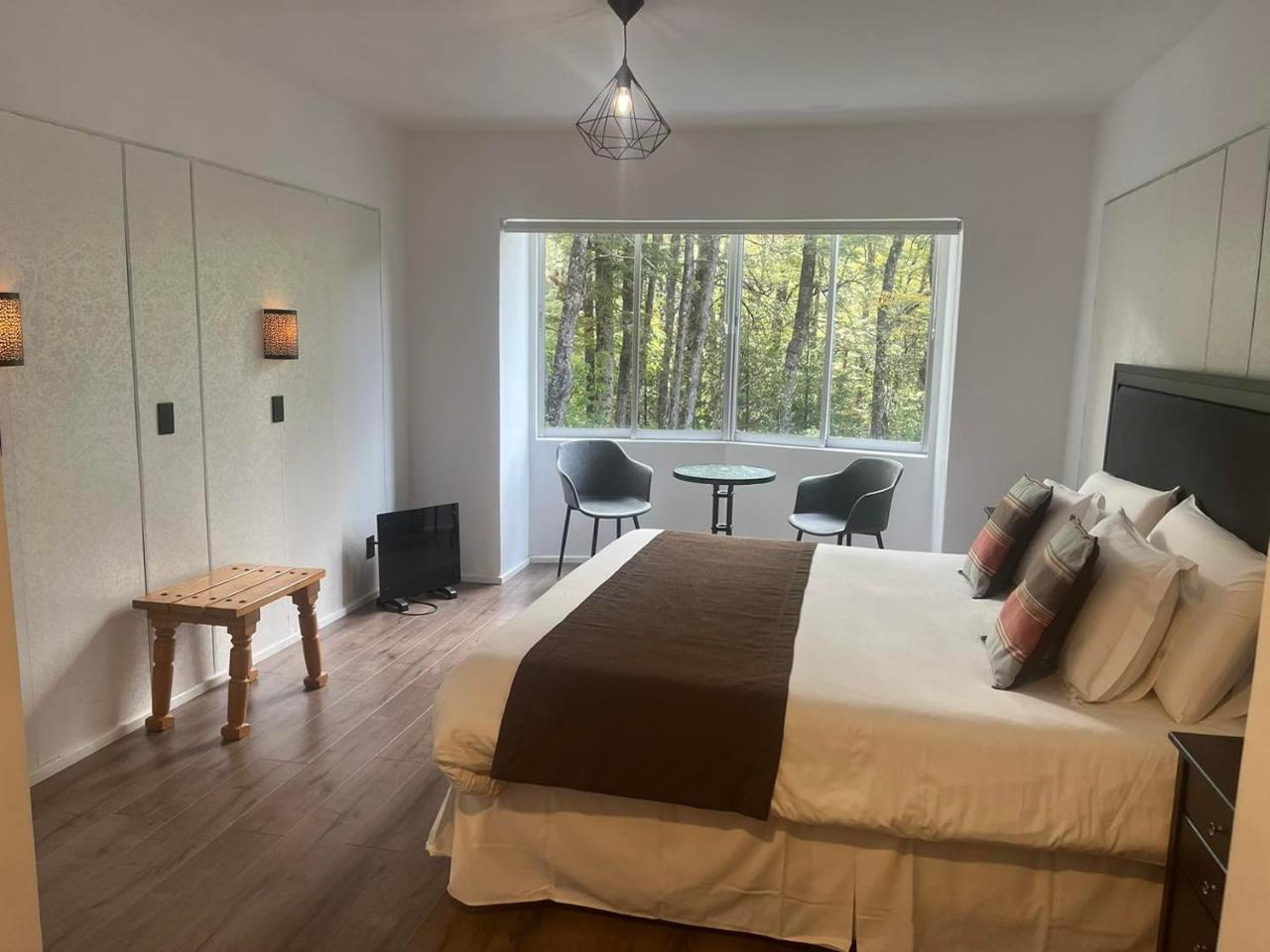 Termas Palguin Puc�n