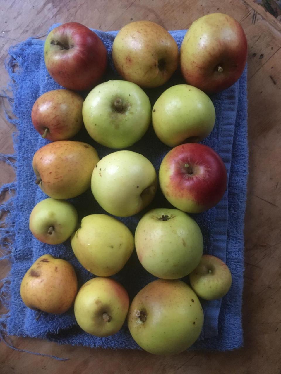 WAPE econom�a comunitaria