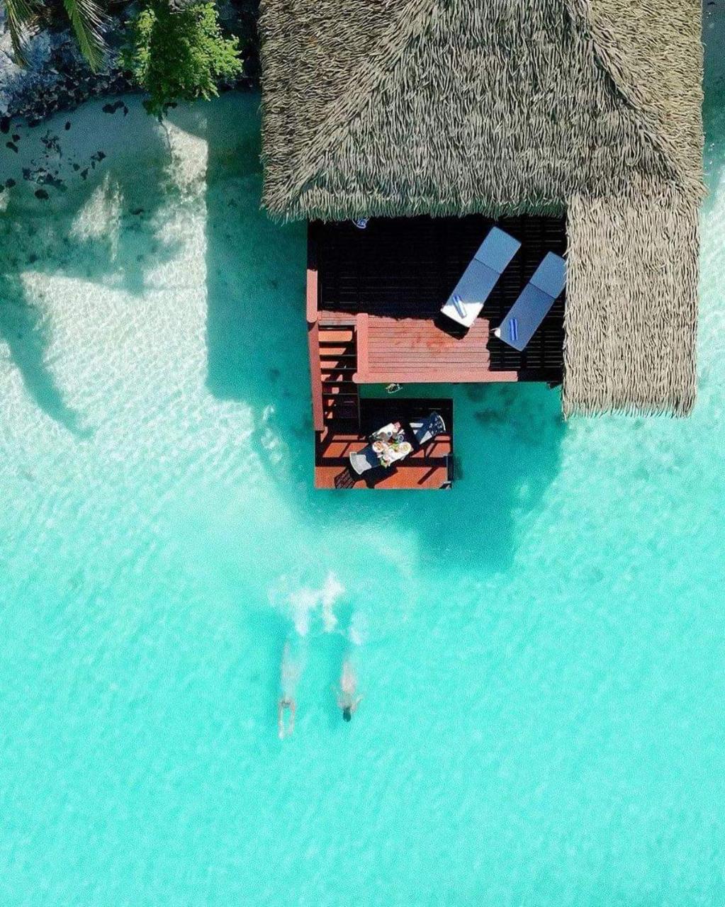 Image: Aitutaki Lagoon Private Island Resort (Adults Only)