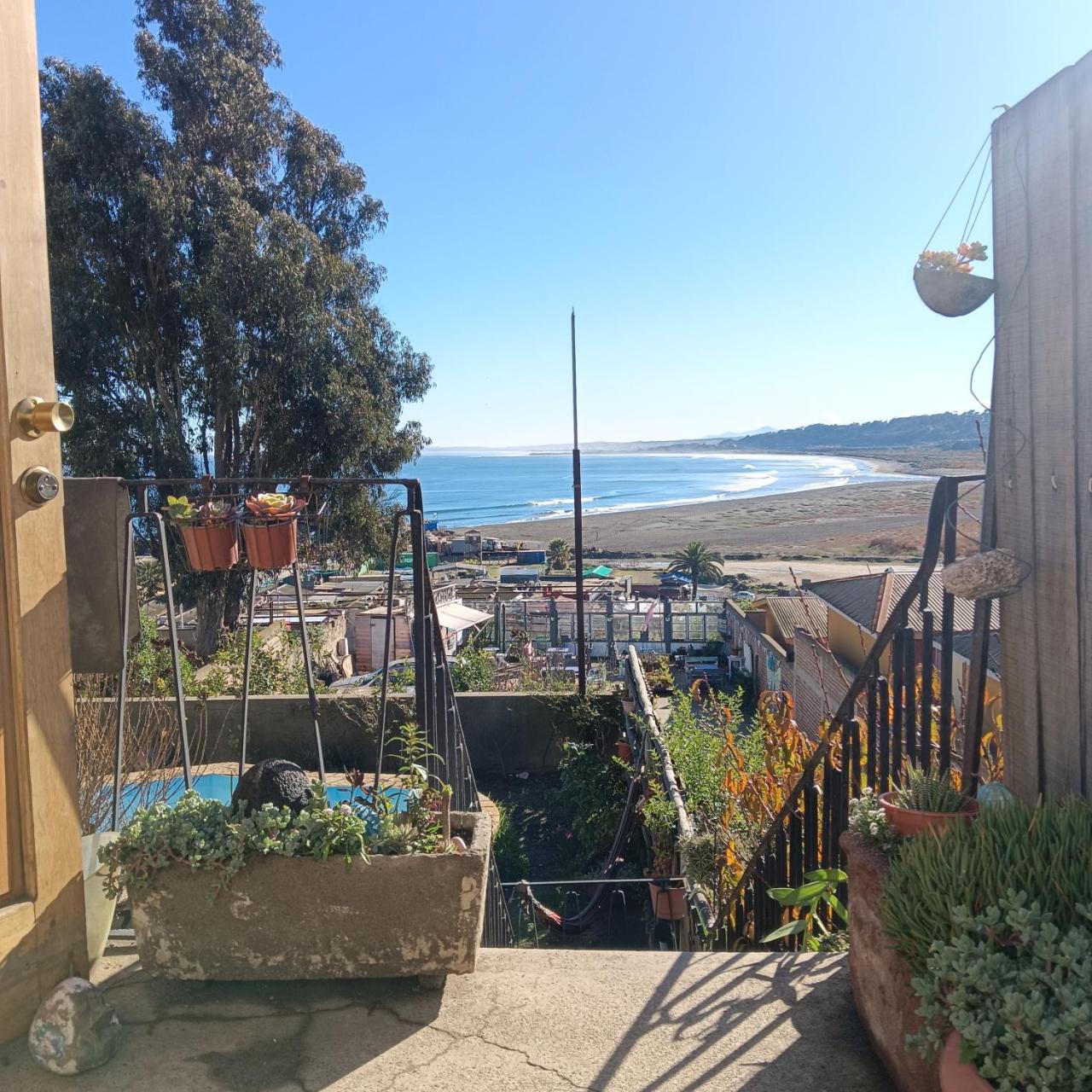 Linda Habitaci�n Frente a la Playa