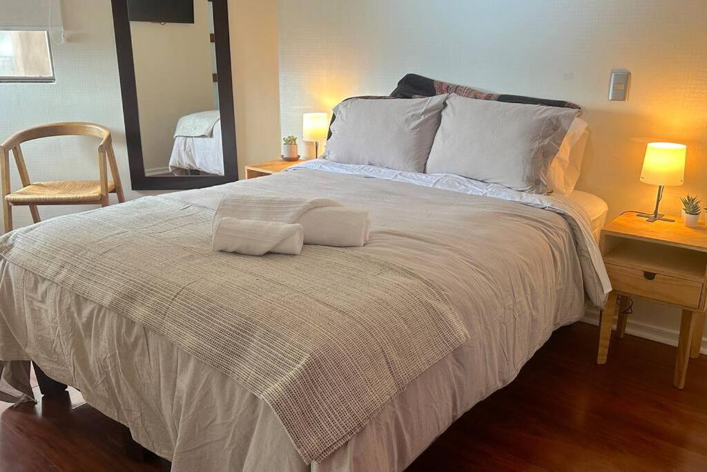 Lindo y c�ntrico departamento cerca del Barrio Lastarria en Santiago Centro