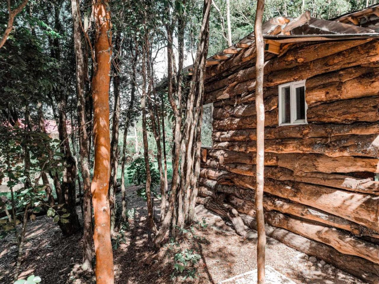 Acegedora Caba�a a minutos del aeropuerto PMC