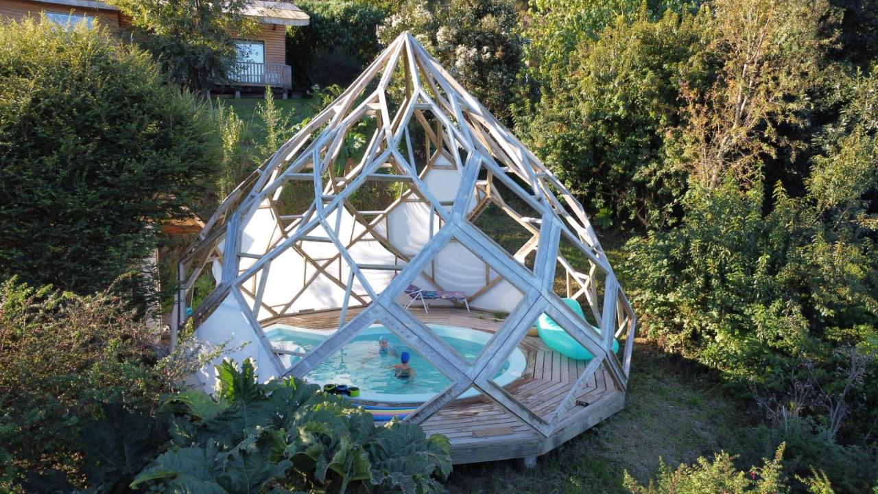 Antuquelen Lodge Caba�as