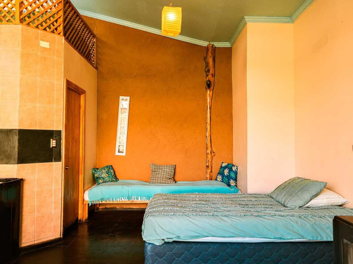 elquiwellness Cochiguaz