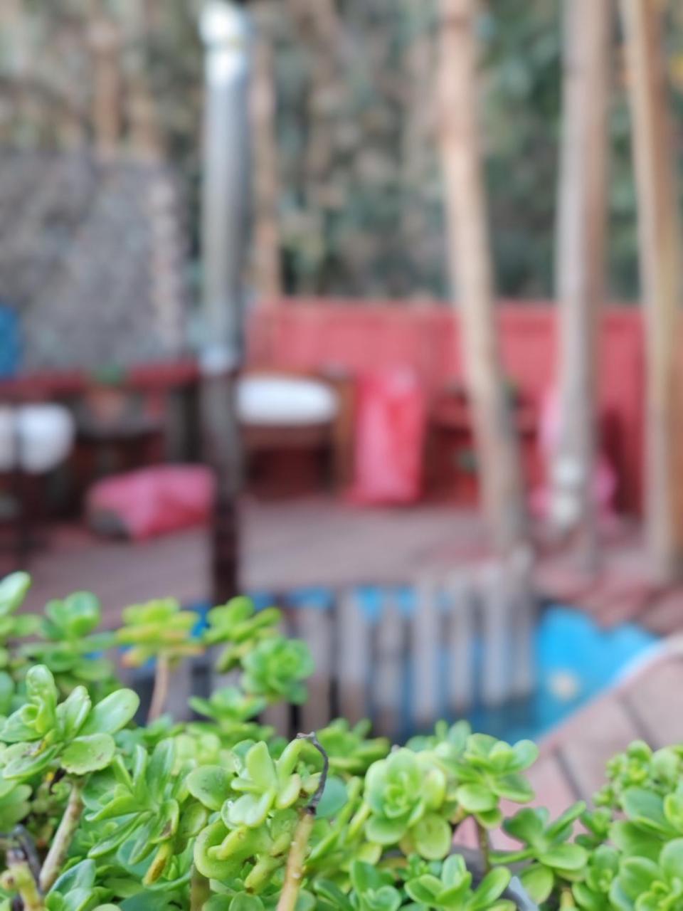 Domos La Resiliencia