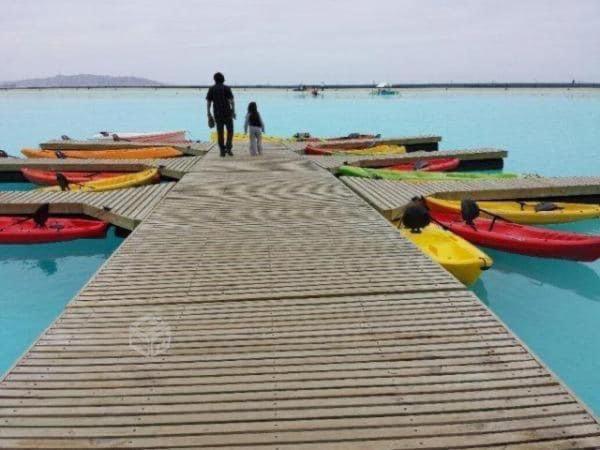 Depto con vista al mar y al Faro
