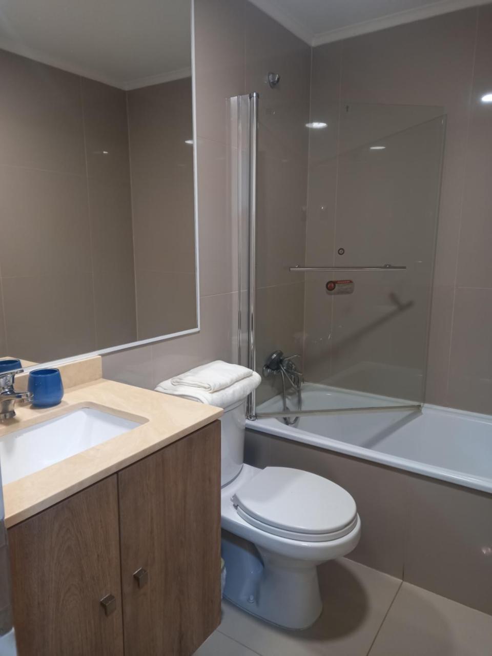 Departamento 1 Ambiente Edificio Centro Osorno