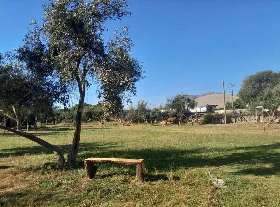 Camping Kil�metro 44